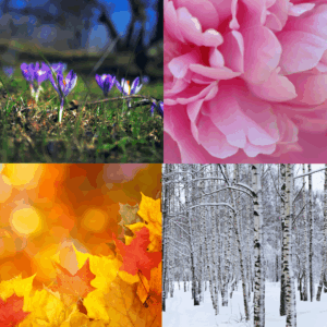 Seizoenssessie 1,5 uur